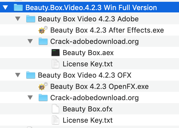 beauty box sony vegas download crack